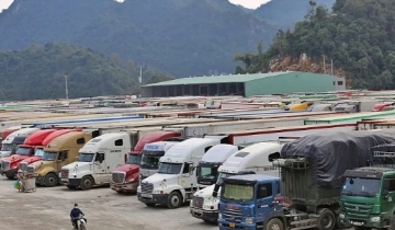 Hải quan trực 24/7, gỡ vướng cho thực phẩm nhập khẩu sau chỉ đạo khẩn của Thủ tướng