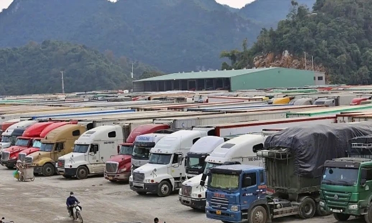 Hải quan trực 24/7, gỡ vướng cho thực phẩm nhập khẩu sau chỉ đạo khẩn của Thủ tướng