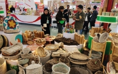 Giỏ xách, đồ gia dụng có nguồn gốc từ tự nhiên như cói, bèo tây, cỏ tự nhiên