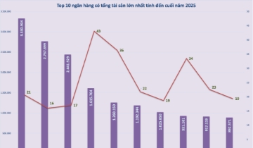 Sự trỗi dậy mạnh mẽ về tổng tài sản của khối ngân hàng tư nhân