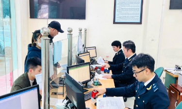 Hải quan đẩy nhanh thông quan thực phẩm sau khi tạm dừng Nghị định 46.