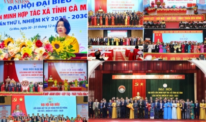 Đại hội Liên minh Hợp tác xã các tỉnh, thành phố