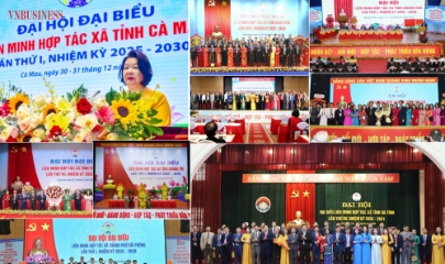 Đại hội Liên minh Hợp tác xã các tỉnh, thành phố