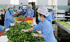 Rau quả tiếp tục là điểm sáng nổi bật khi kim ngạch xuất khẩu tháng 1/2026 ước đạt khoảng 750 triệu USD, tăng gấp đôi so với cùng kỳ.