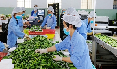 Rau quả tiếp tục là điểm sáng nổi bật khi kim ngạch xuất khẩu tháng 1/2026 ước đạt khoảng 750 triệu USD, tăng gấp đôi so với cùng kỳ.