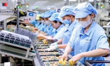 Lao động ngành công nghiệp tăng trở lại khi hoạt động sản xuất mở rộng.