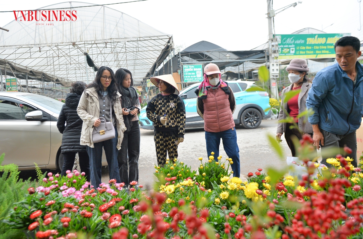 Với hơn 1.300 hộ gia đình tham gia trồng hoa, cây cảnh trên diện tích khoảng 250 ha, làng hoa Xuân Quan không chỉ tạo sinh kế ổn định cho người dân địa phương mà còn là nơi cung cấp hoa, cây cảnh trọng điểm của tỉnh Hưng Yên, đáp ứng nhu cầu chơi Tết của người dân địa phương và các khu vực lân cận.