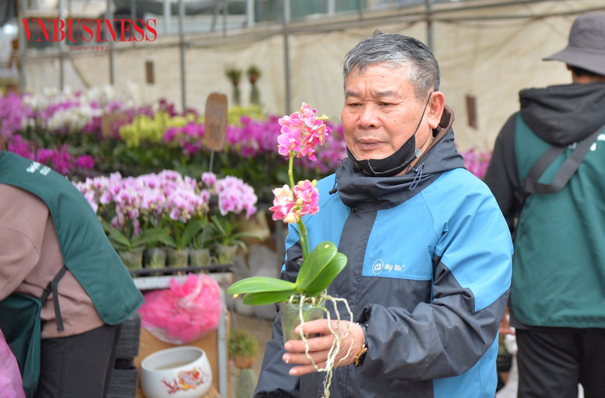 2 ngày liên tiếp có mặt tại đây, ông Nguyễn Ngọc Bình (Hưng Yên) chia sẻ, ở đây có đủ chủng loại, hoa lại tươi đẹp nên mỗi lần tới lại có thêm lựa chọn mới. “Tôi mua hoa về tự tay bày biện, trang trí nhà cửa và sân vườn theo đúng sở thích của mình”, ông Bình cho biết.