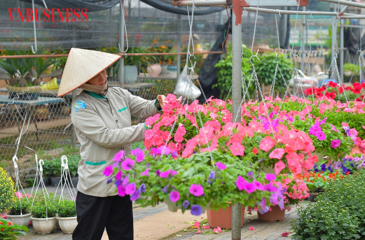 Nguồn hoa và các loại cây cảnh bày bán tại chợ Xuân Quan hầu hết được đưa về từ các làng nghề trồng hoa xung quanh khu vực. Số ít các loại cây đặc trưng thì sẽ được nhập từ vùng khác về để thêm phần đa dạng để khách chọn lựa.