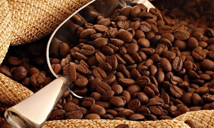 Nguồn cung tăng, giá cà phê giảm 900 đồng/kg
