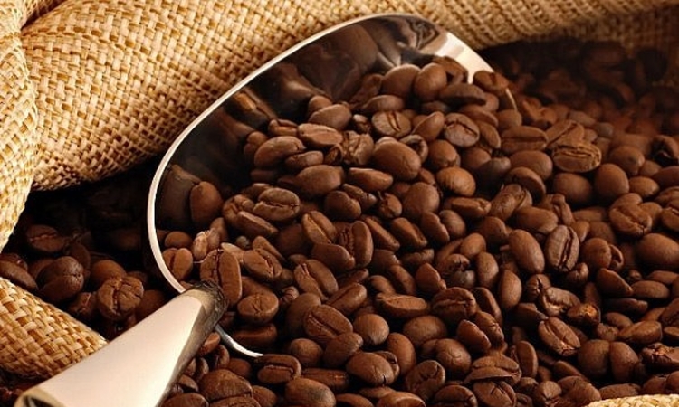 Nguồn cung tăng, giá cà phê giảm 900 đồng/kg