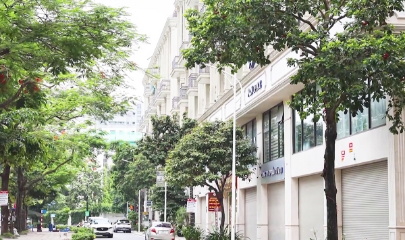 nhà đầu tư shophouse