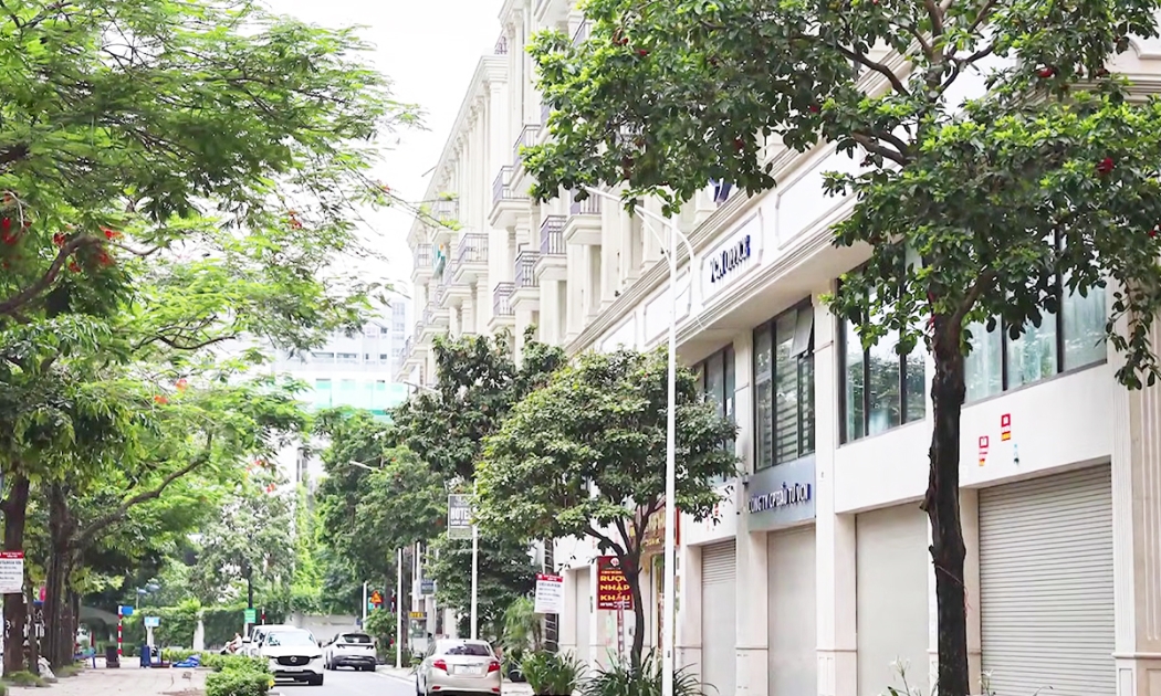 nhà đầu tư shophouse