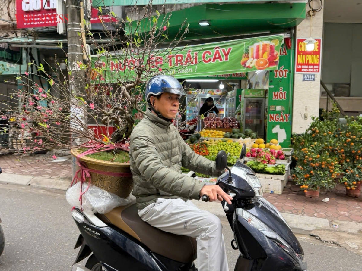 Người dân mua sắm hoa đào Tết