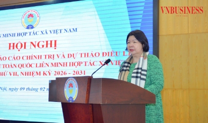 Hoàn thiện ‘kim chỉ nam’ cho giai đoạn phát triển mới của kinh tế tập thể