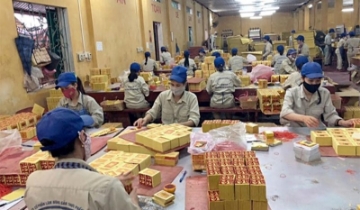 Sức khỏe công ty vàng mã duy nhất trên sàn suy giảm