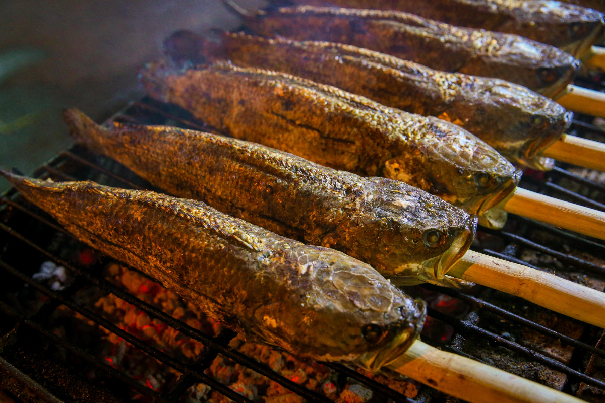 Tại một số địa phương, cá lóc được lựa chọn làm vật phẩm cúng vía Thần Tài trong dịp mùng 10 tháng Giêng này.