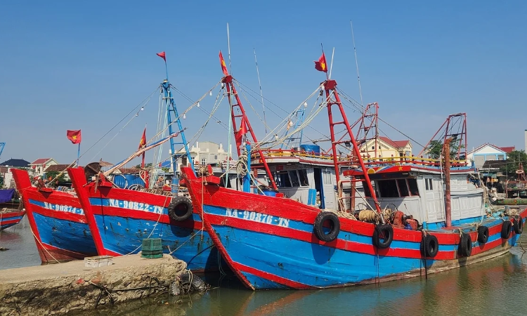 Quyết liệt gỡ “thẻ vàng” IUU trước đợt thanh tra lần 5 của EC