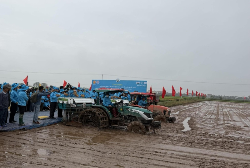 Lúa phát thải thấp mở “lối đi mới” cho HTX ở Hải Phòng