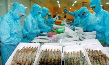 Những biến động địa chính trị khu vực Trung Đông đã khiến hoạt động xuất khẩu thủy hải sản của Việt Nam sang thị trường này bị ảnh hưởng nặng nề.