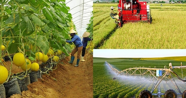 Hỗ trợ hợp tác xã tiếp cận, áp dụng các nền tảng số, công nghệ mới