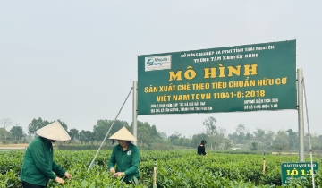 Phân biệt “hữu cơ” và “theo hướng hữu cơ”: Tránh thật giả lẫn lộn trên thị trường