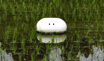 Thử nghiệm đưa công nghệ robot AI của Nhật Bản trong trồng lúa phát thải thấp