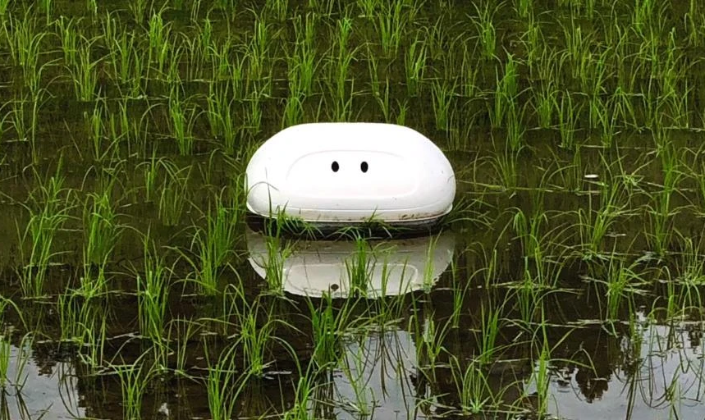 Robot vịt diệt cỏ tích hợp GPS và AI, cho phép tự động vận hành trong phạm vi ruộng được thiết lập, đồng thời ghi lại dữ liệu hoạt động.