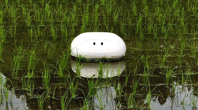 Thử nghiệm đưa công nghệ robot AI của Nhật Bản trong trồng lúa phát thải thấp