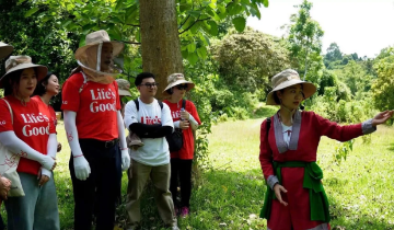 Nữ giám đốc HTX ứng cử đại biểu Quốc hội và hành trình về với nông nghiệp xanh