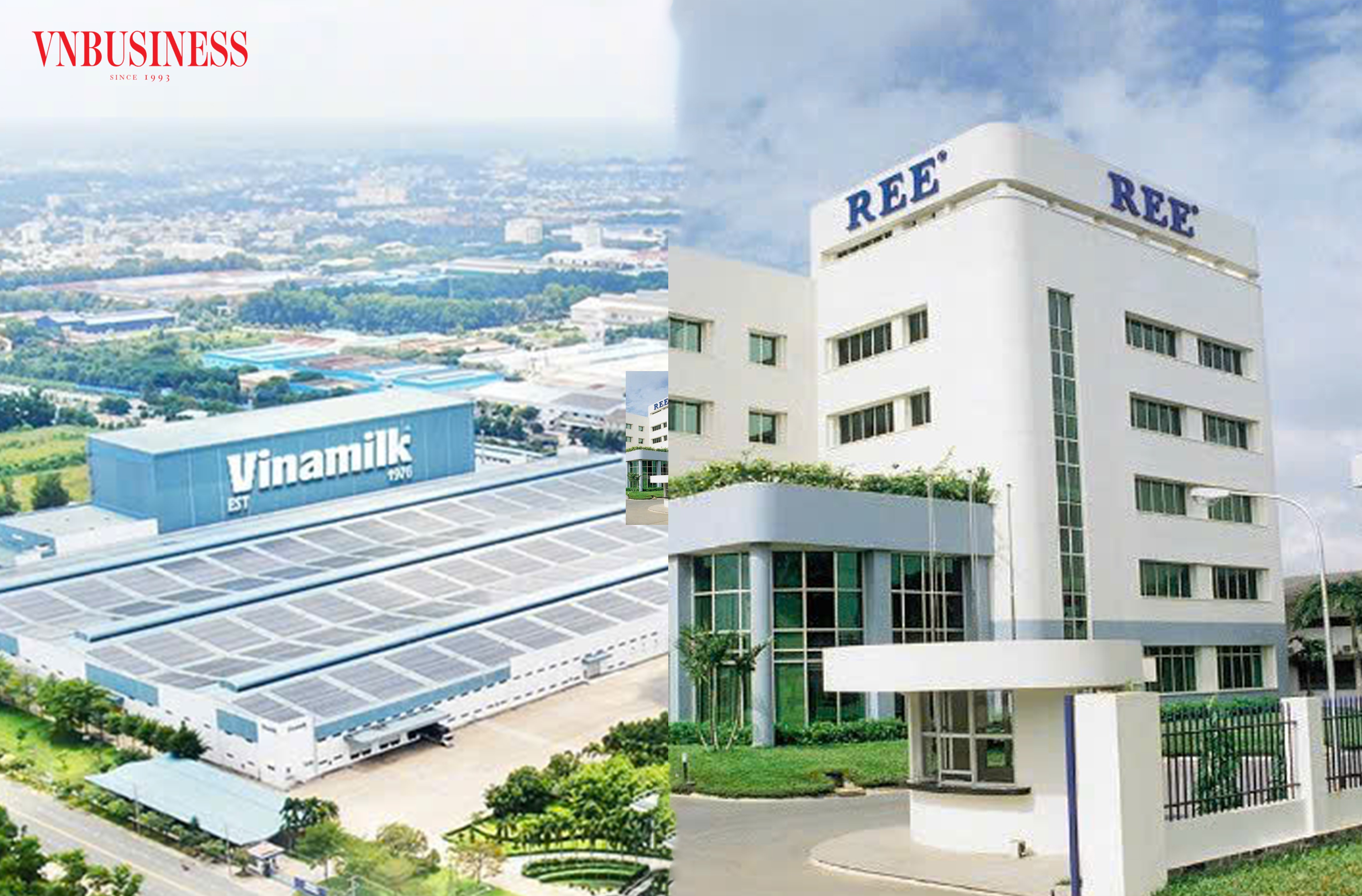 Cổ đông Singapore quyết rút vốn tại Vinamilk, kiên trì gia tăng sở hữu tại REE