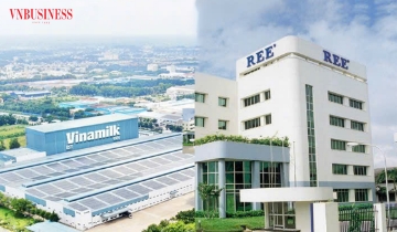 Cổ đông Singapore quyết rút vốn tại Vinamilk, kiên trì gia tăng sở hữu tại REE