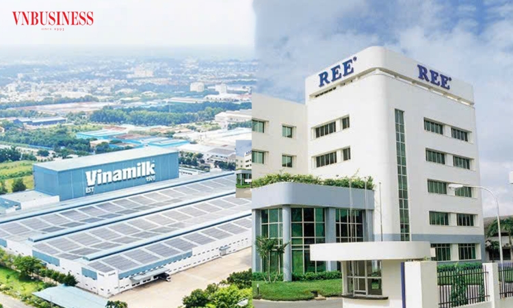Cổ đông Singapore quyết rút vốn tại Vinamilk, kiên trì gia tăng sở hữu tại REE