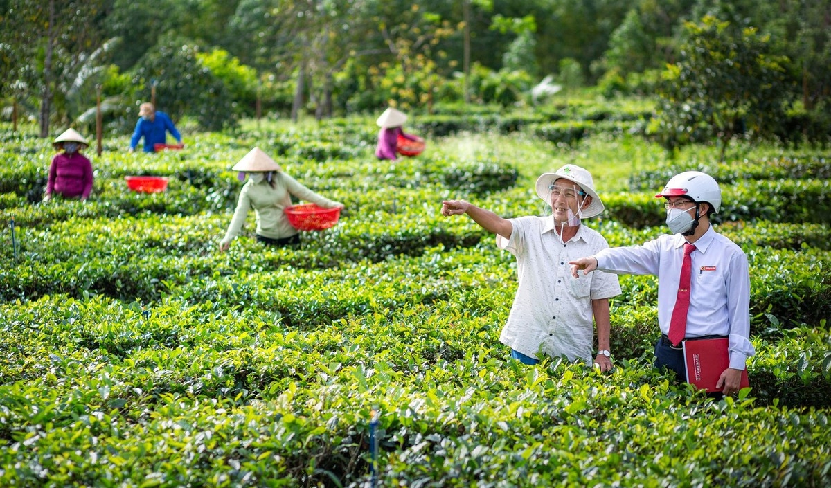 Agribank vẫn luôn khẳng định "sứ mệnh tiên phong" và giữ vững vai trò chủ lực trong cho vay "Tam nông"
