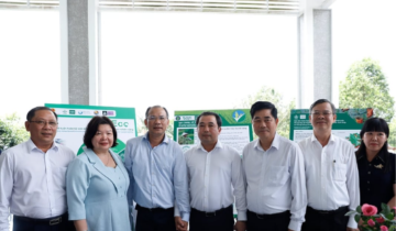 Hợp tác xã giữ vai trò trung tâm trong Đề án 1 triệu hecta lúa chất lượng cao