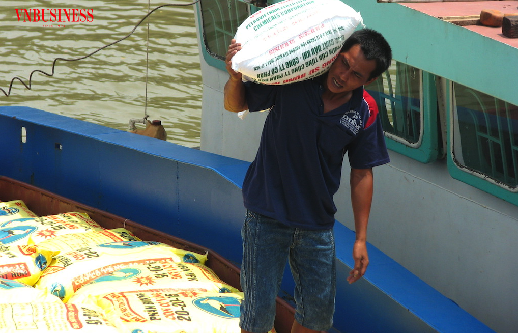 Giá phân bón đang chịu áp lực tăng do chi phí nguyên liệu đầu vào leo thang.