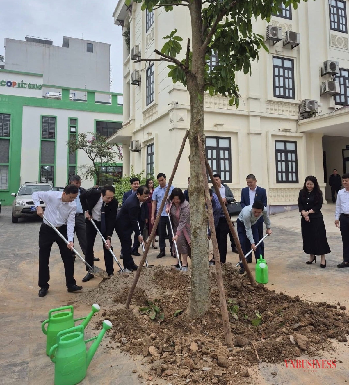 Chủ tịch Liên minh HTX Việt Nam tham gia trồng cây xanh trong khuôn viên trụ sở Liên minh HTX tỉnh.