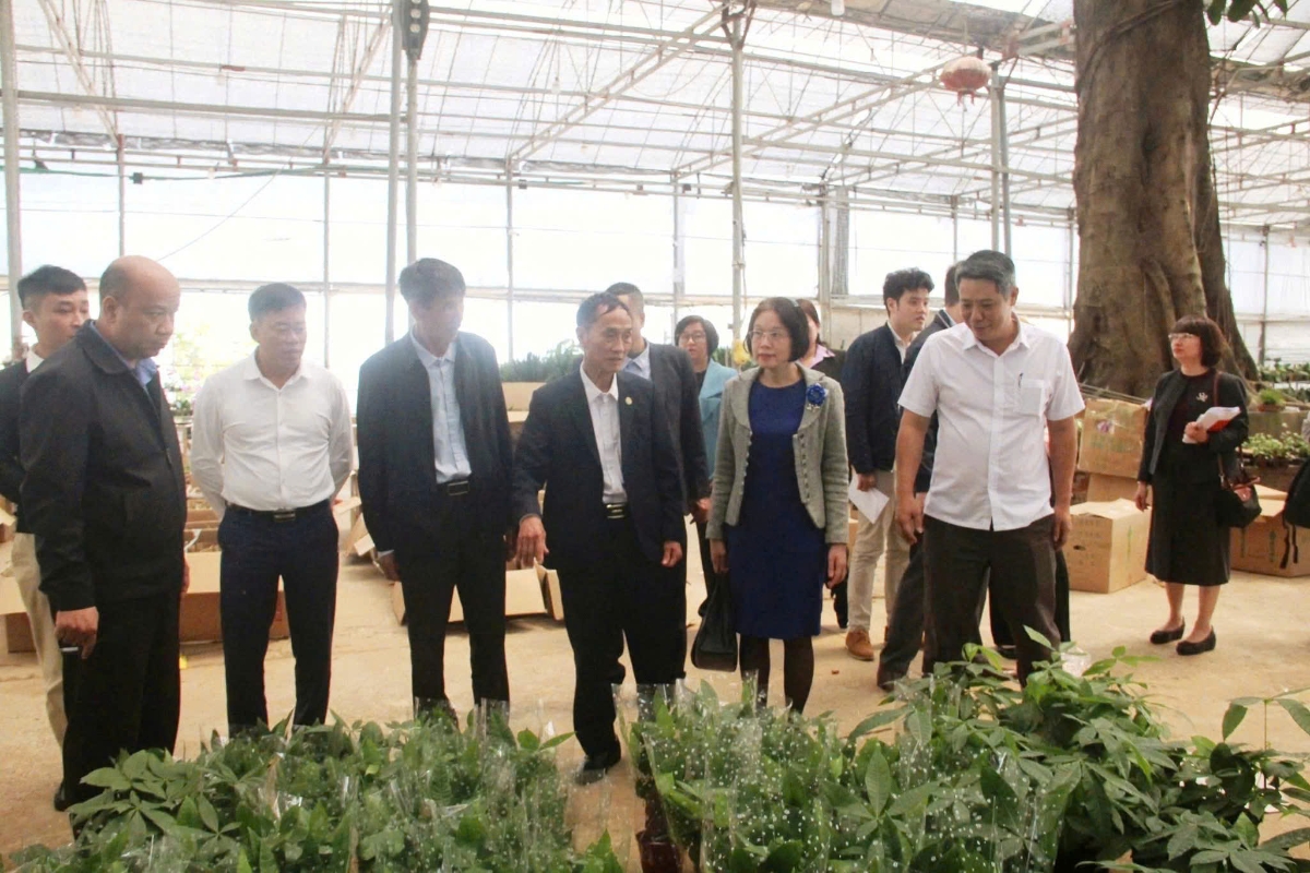 Đoàn công tác của Liên minh HTX Việt Nam và Ngân hàng Tiết kiệm CHLB Đức thăm HTX Xuân Quan.