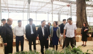 HTX chuẩn hóa quản trị để hút vốn đầu tư