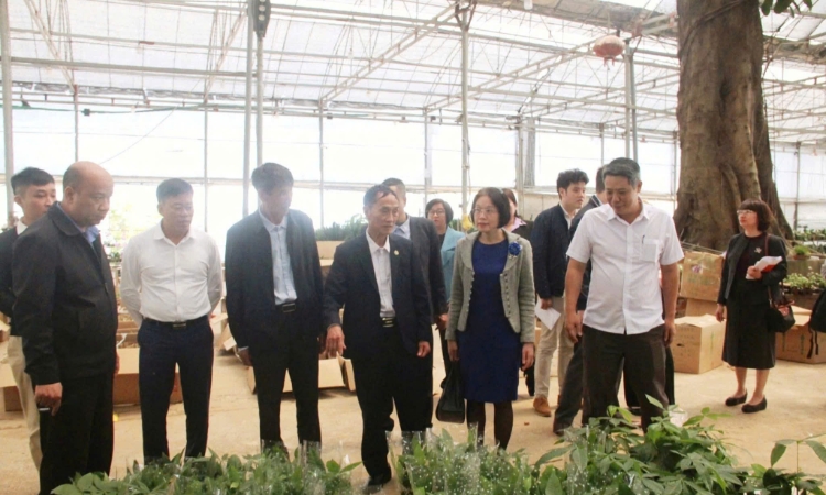 HTX chuẩn hóa quản trị để hút vốn đầu tư