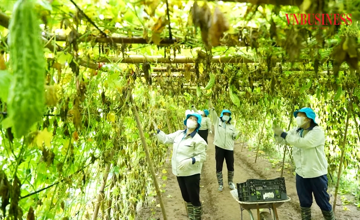 QTDND có khả năng đáp ứng nhanh chóng và linh hoạt nhu cầu vốn của hộ gia đình, hộ kinh doanh cá thể và các HTX.