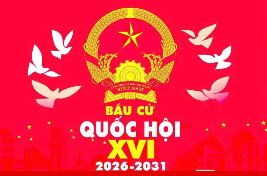 Thời gian, nguyên tắc bầu cử và những điều cần biết về khu vực bỏ phiếu đại biểu Quốc hội, Hội đồng Nhân dân