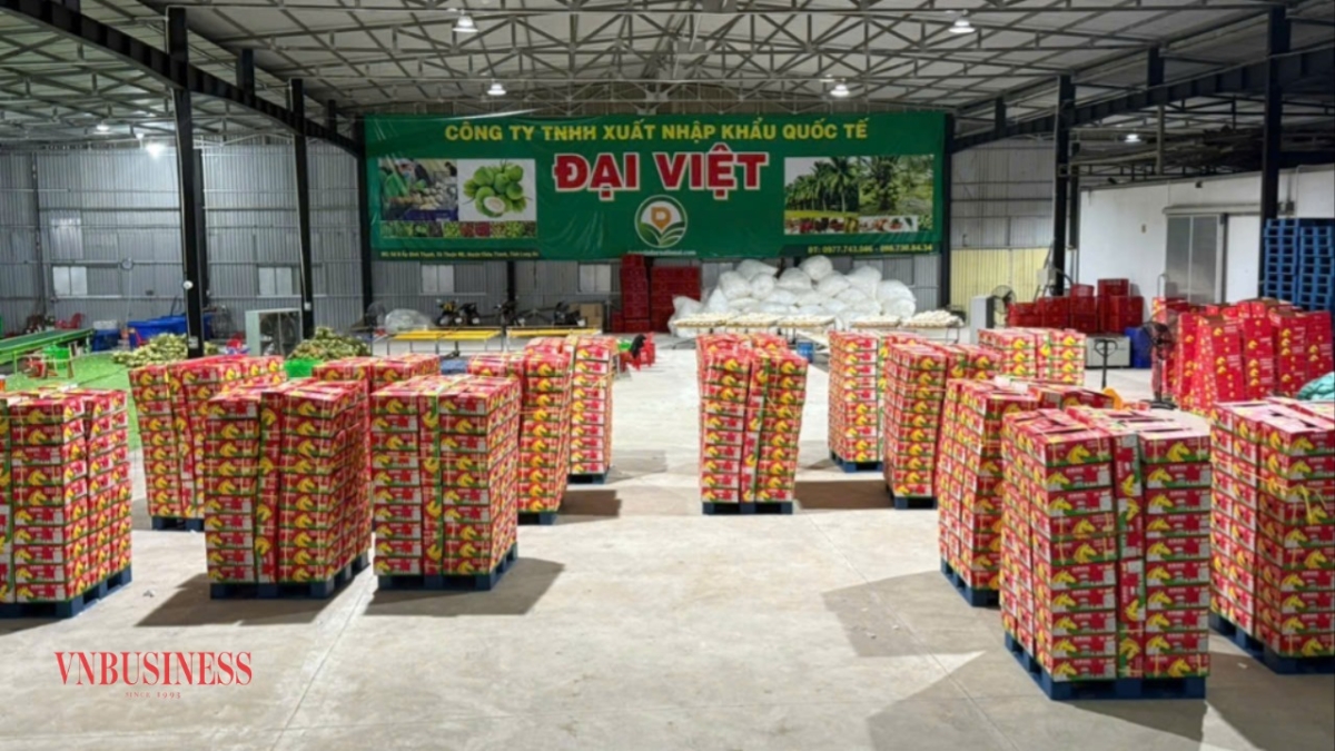 Một số doanh nghiệp nhanh chóng tìm hướng đi mới nhằm giảm thiểu rủi ro.