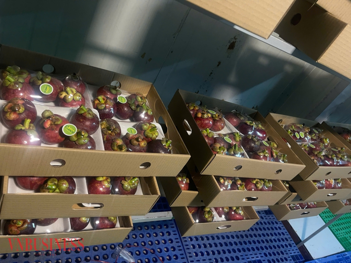 Trái cây tươi của Việt Nam được ưa chuộng tại châu Âu.