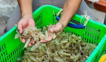 HTX vẫn gặp lực cản trong kéo dài chuỗi giá trị gia tăng