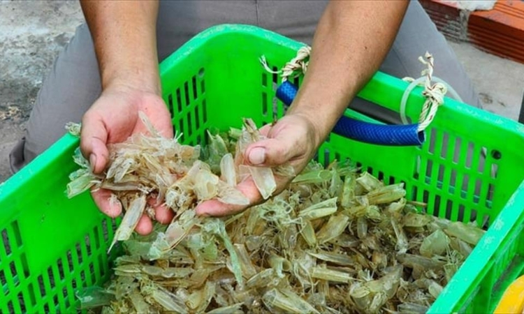 HTX vẫn gặp lực cản trong kéo dài chuỗi giá trị gia tăng