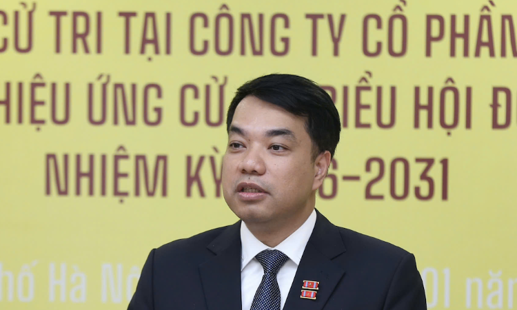 GS.TS Mạc Quốc Anh: