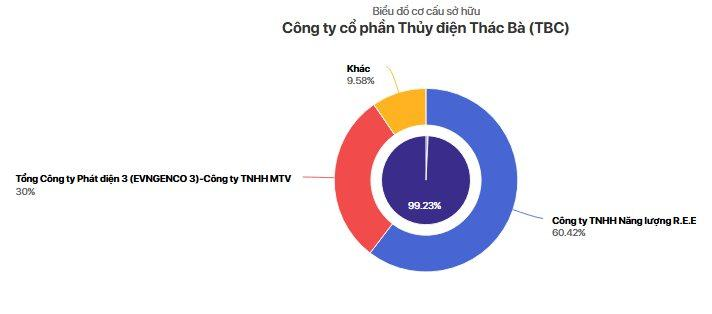 Cơ cấu cổ đông của Cong ty Thuỷ điện Thác Bà.