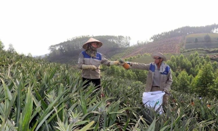 HTX chủ động ứng phó biến động thị trường do xung đột Trung Đông