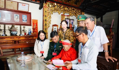 bầu cử ở hải phòng